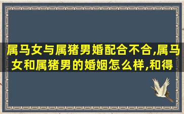 属马女与属猪男婚配合不合,属马女和属猪男的婚姻怎么样,和得 🐠 来吗